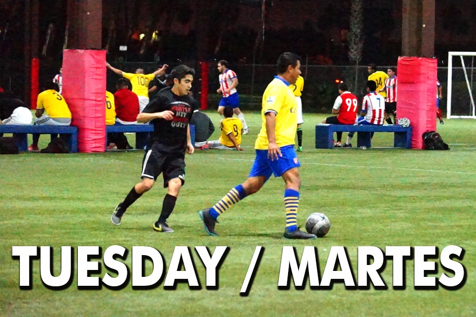 Tuesday League Schedules & Standings 2